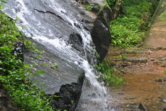 Thusharagiri Falls